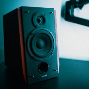 Reference Bookshelf Speaker - 5.25 Inch